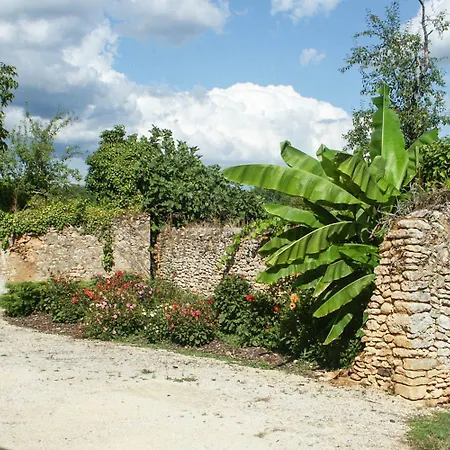 Robin Villa Saint-Alvère